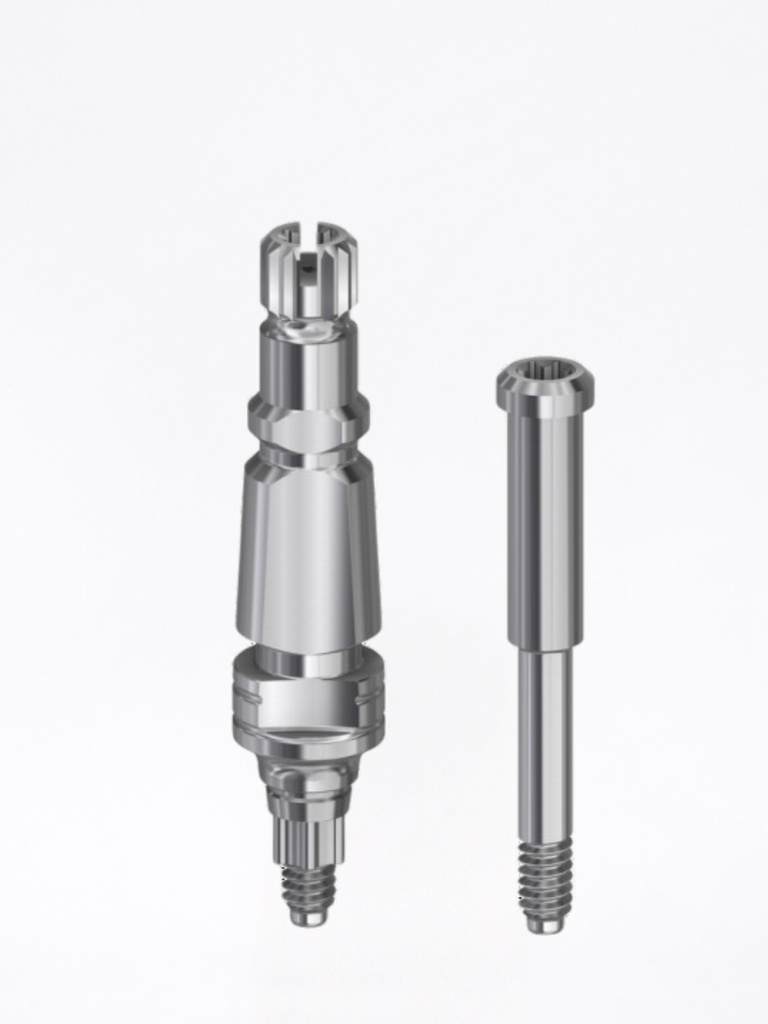 Transfer Conical BLX