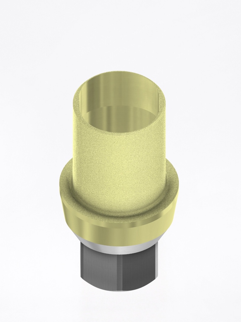 ELLIPTIBase® Internal Hex BH