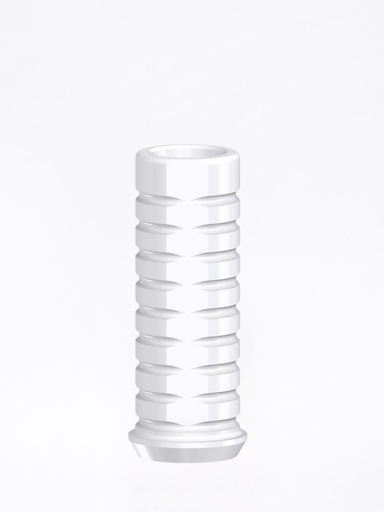 Calcinabile External Hex Universal