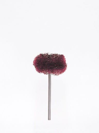 Keystone Scotch Brite™