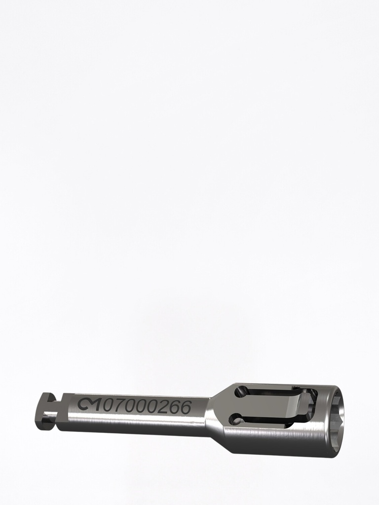 Dalbo® Cacciavite Abutment