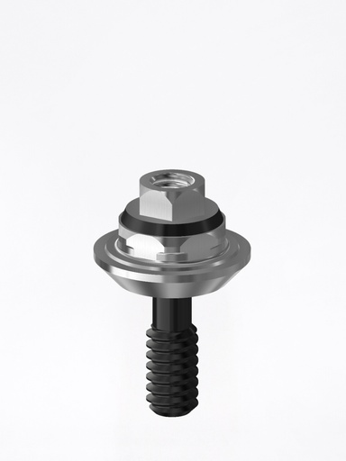 Multi-unit® abutment External Hex Universal