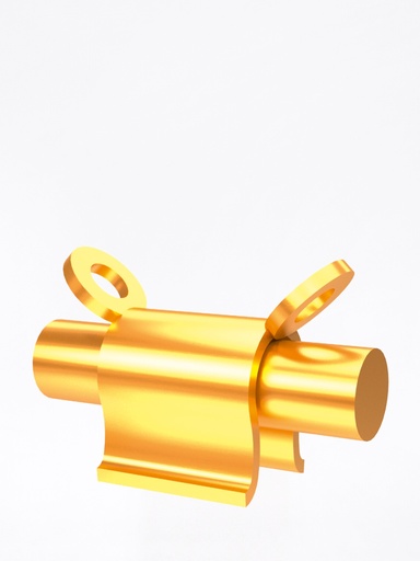 Ackermann-Bar B Femmina E