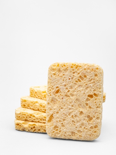 Aqualine Pool Set spugne