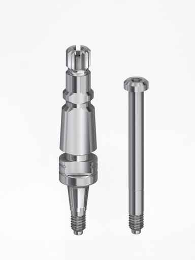 Transfer Internal ANK