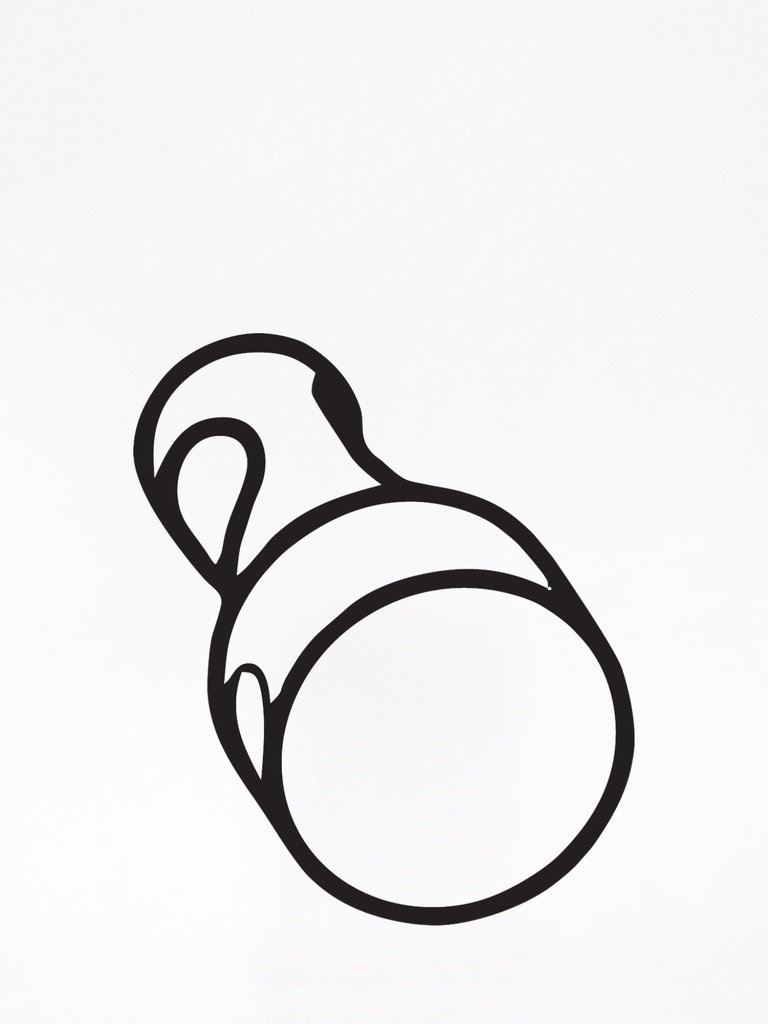 Mini-SG® Chiavistello Pin di chiusura T