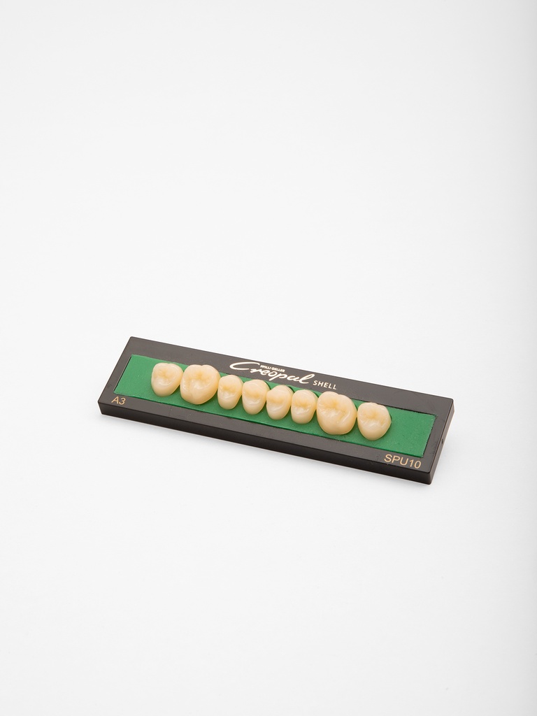 Creopal Shell Posterior