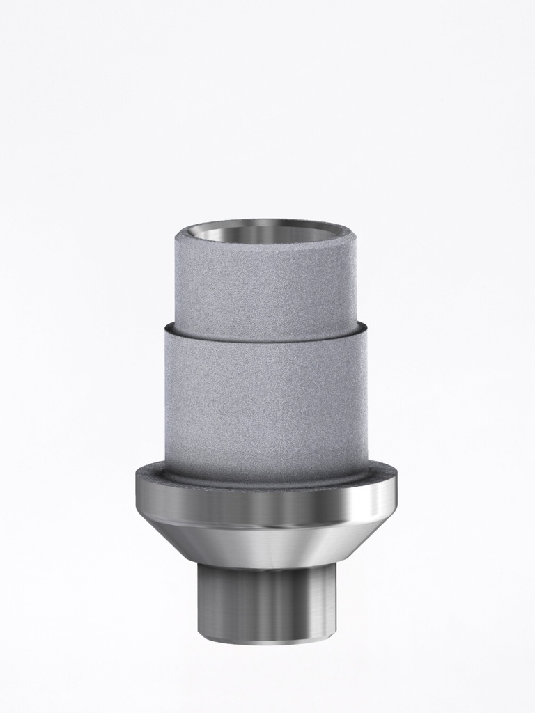 Ti Base Internal SEM