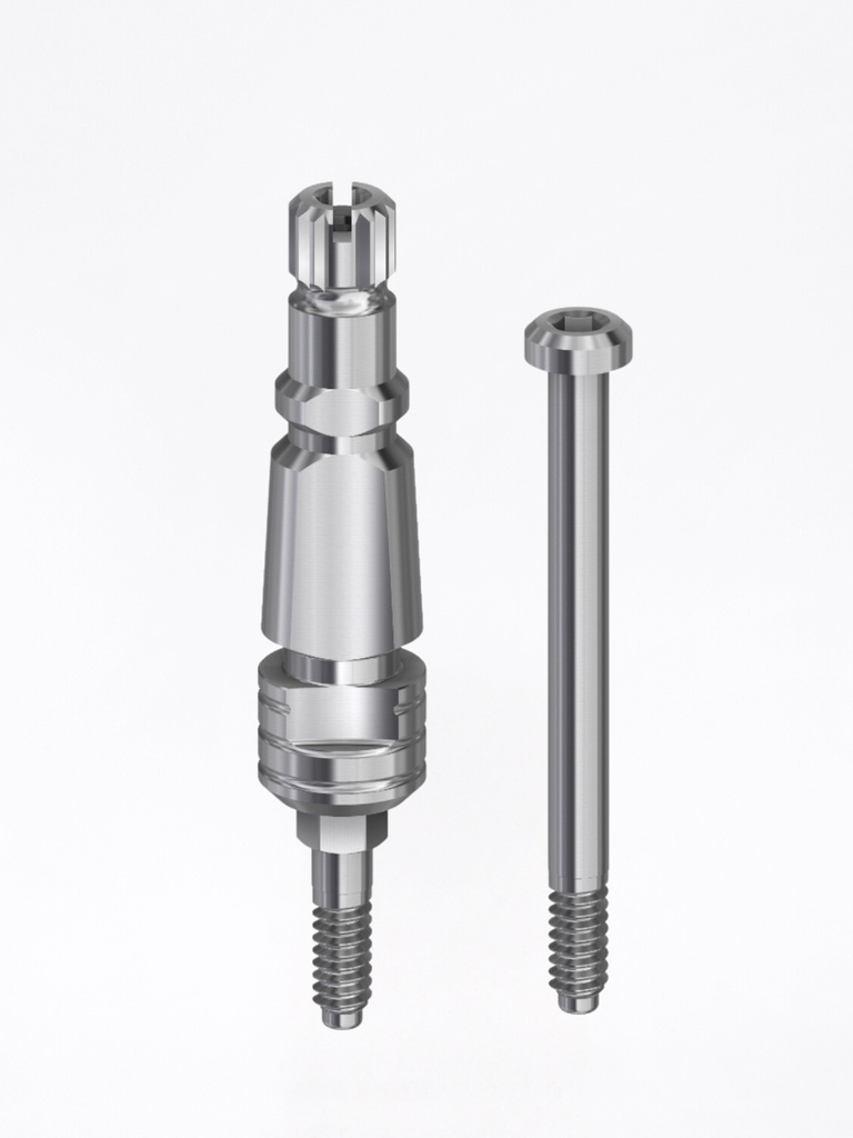 Transfer Internal Hex "Click"