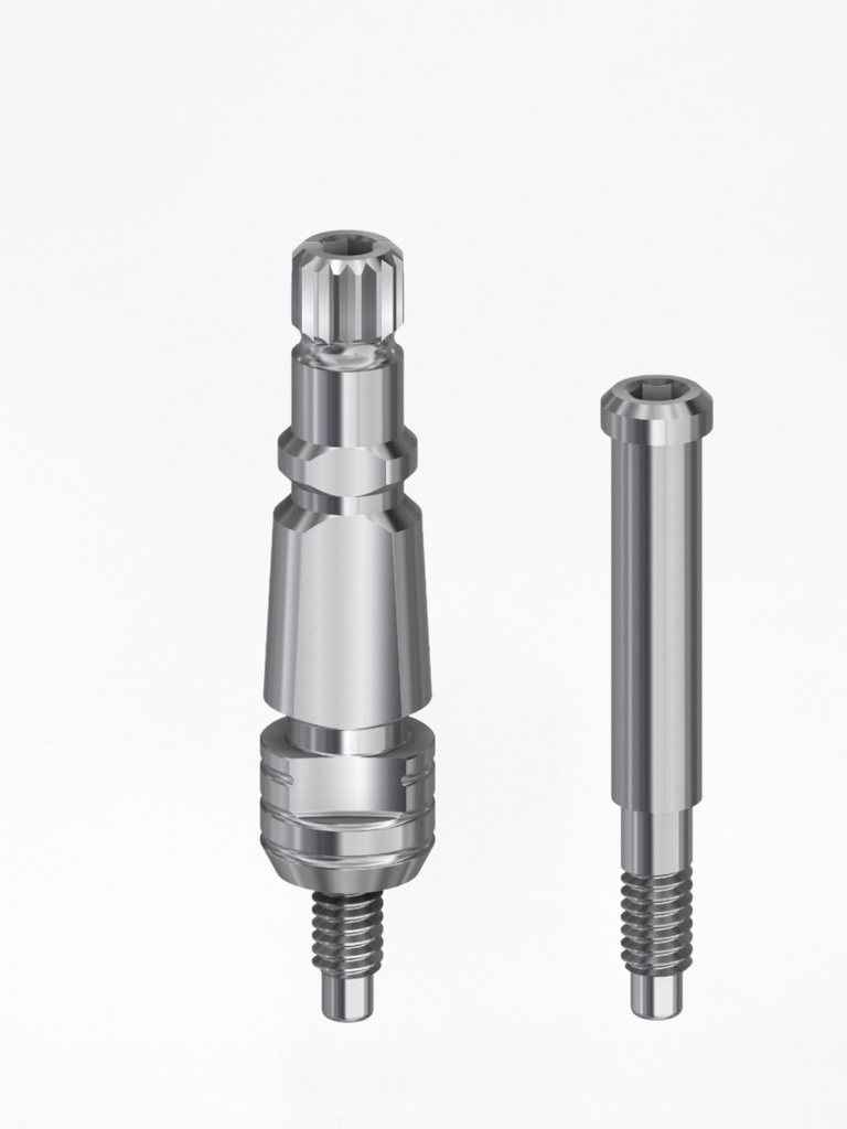 Transfer External Hex BH