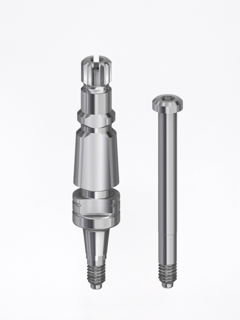 Transfer Internal ANK