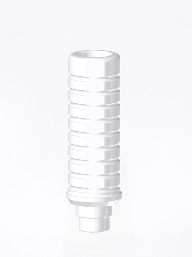 Calcinabile Internal Hex FD