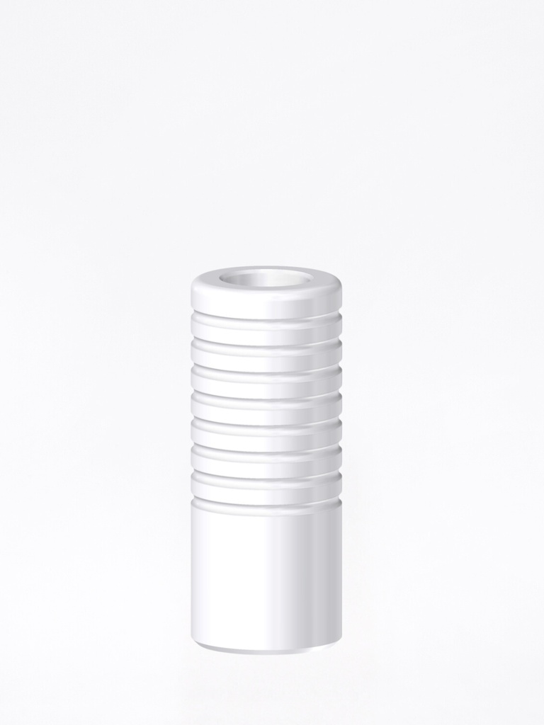 Ti Base calcinabile External Hex BH