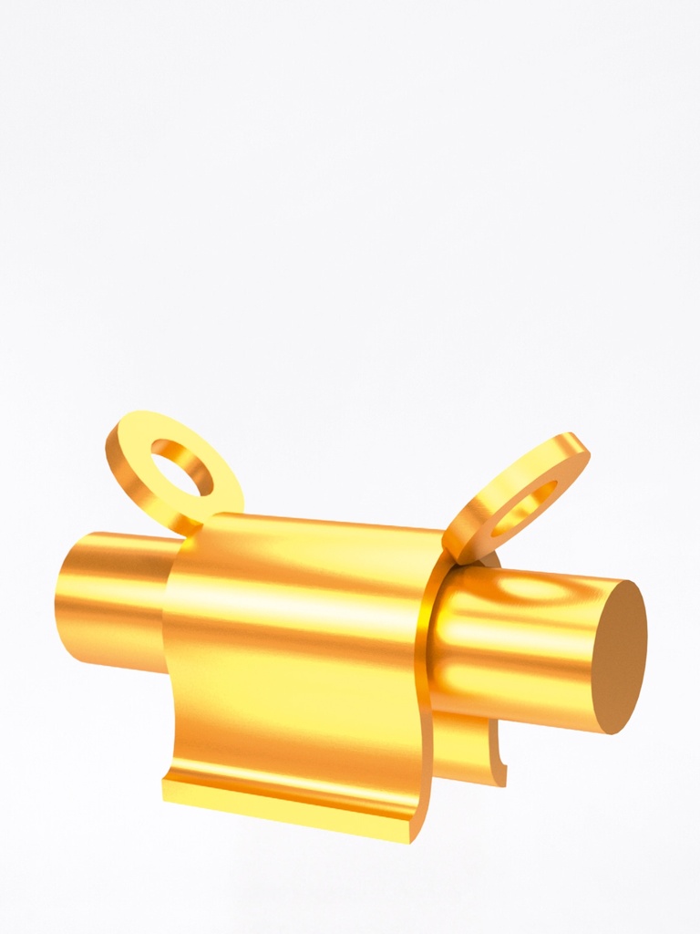 Ackermann-Bar B Femmina E