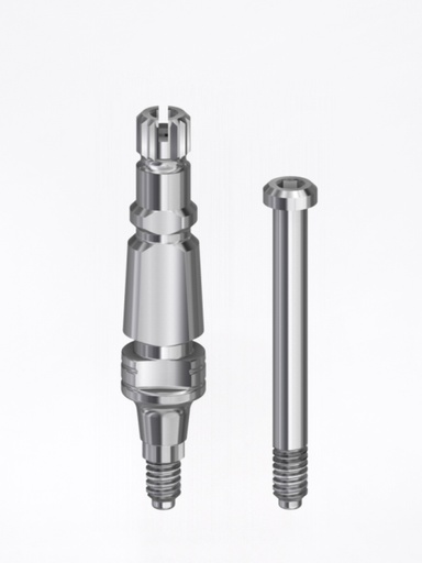 Transfer Conic MC / Conic MV