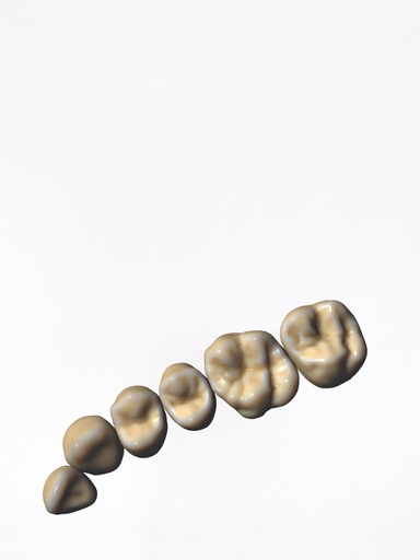 ChairsideCAD - Modulo ZRS Tooth Library